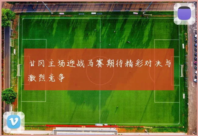 甘冈主场迎战马赛期待精彩对决与激烈竞争